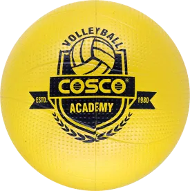 Academy VolleyBall