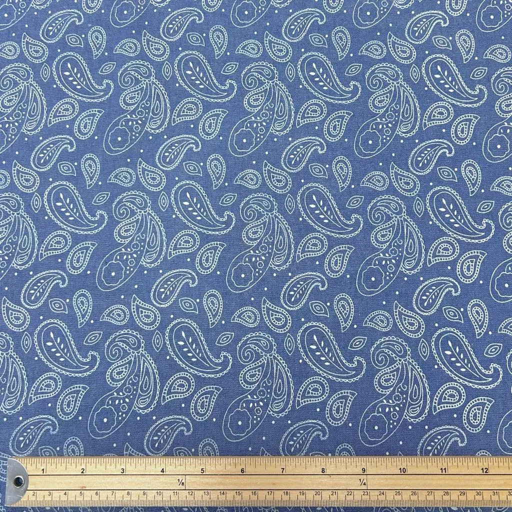 All Over Paisley Chambray Denim Fabric