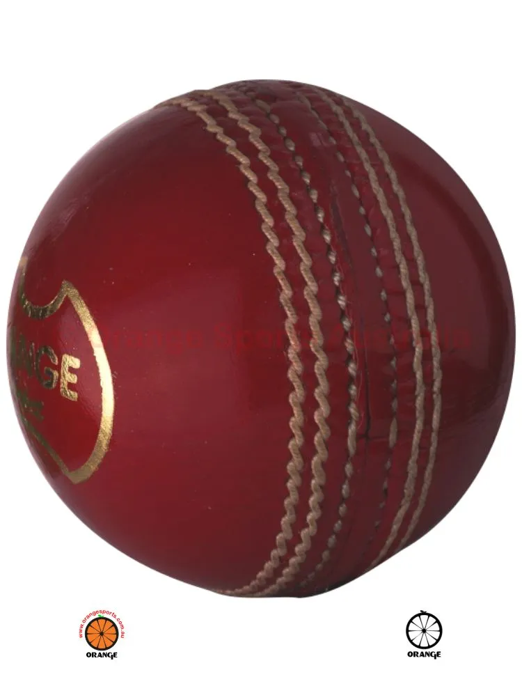 Cricket Fielding Training Ball